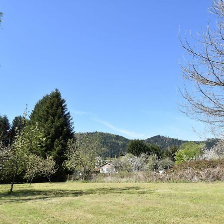 Spacious Holiday Home With Sauna In Celles Sur Plaine Eguisheim Zewnętrze zdjęcie