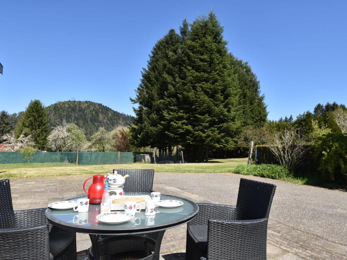 Spacious Holiday Home With Sauna In Celles Sur Plaine Eguisheim Pokój zdjęcie