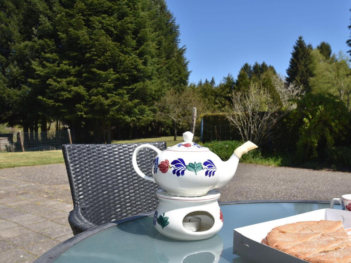 Spacious Holiday Home With Sauna In Celles Sur Plaine Eguisheim Pokój zdjęcie