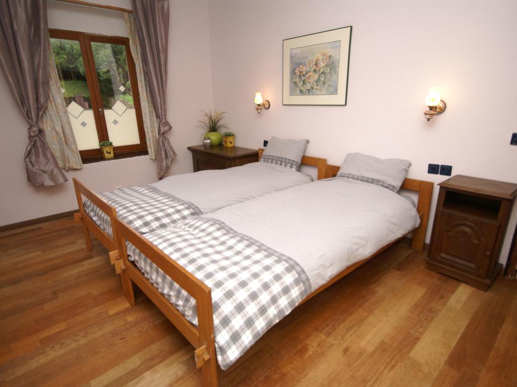 Spacious Holiday Home With Sauna In Celles Sur Plaine Eguisheim Zewnętrze zdjęcie
