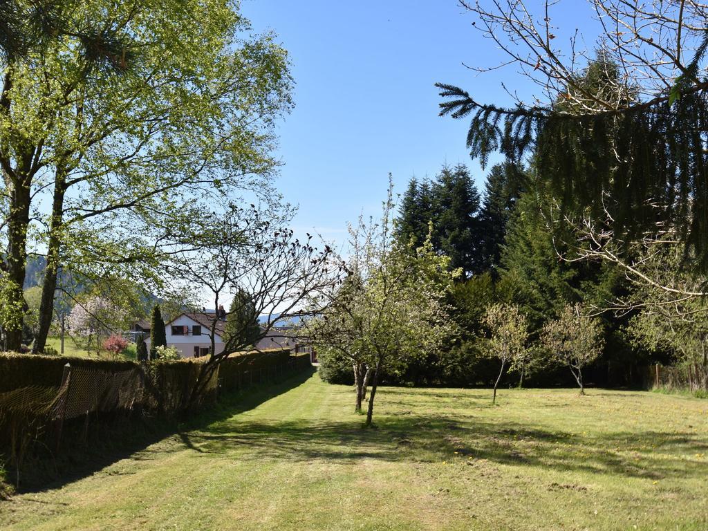 Spacious Holiday Home With Sauna In Celles Sur Plaine Eguisheim Zewnętrze zdjęcie